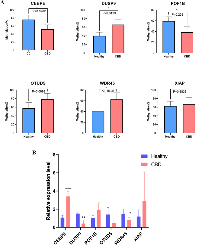 PMC12548212 – Fig6
