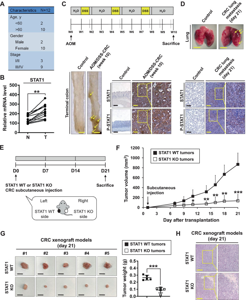 PMC8939146 – Fig1