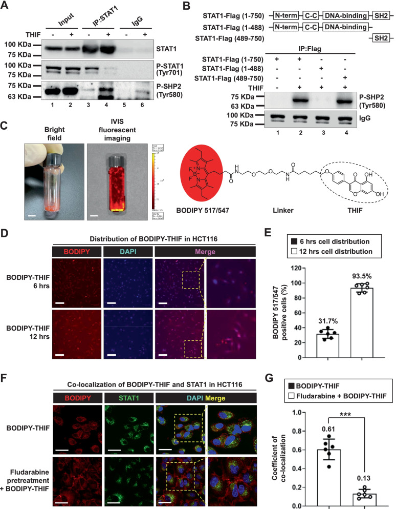 PMC8939146 – Fig3