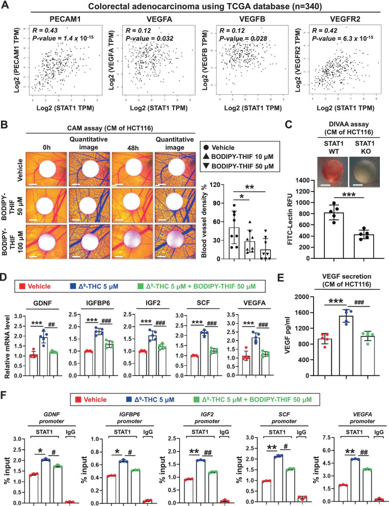 PMC8939146 – Fig5