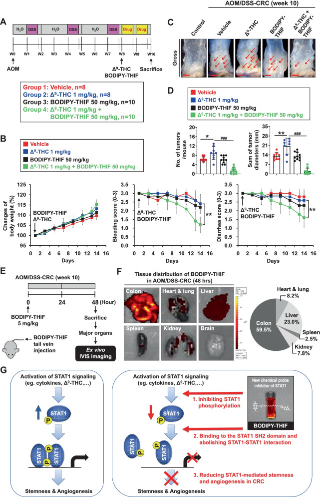 PMC8939146 – Fig6