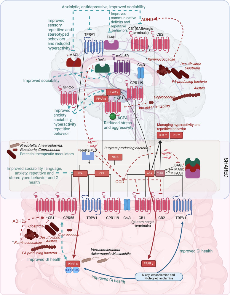 PMC12220735 – Fig1