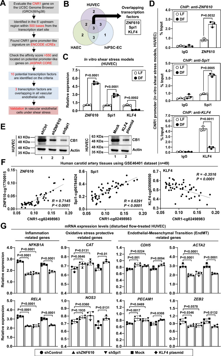 PMC12822132 – Fig2