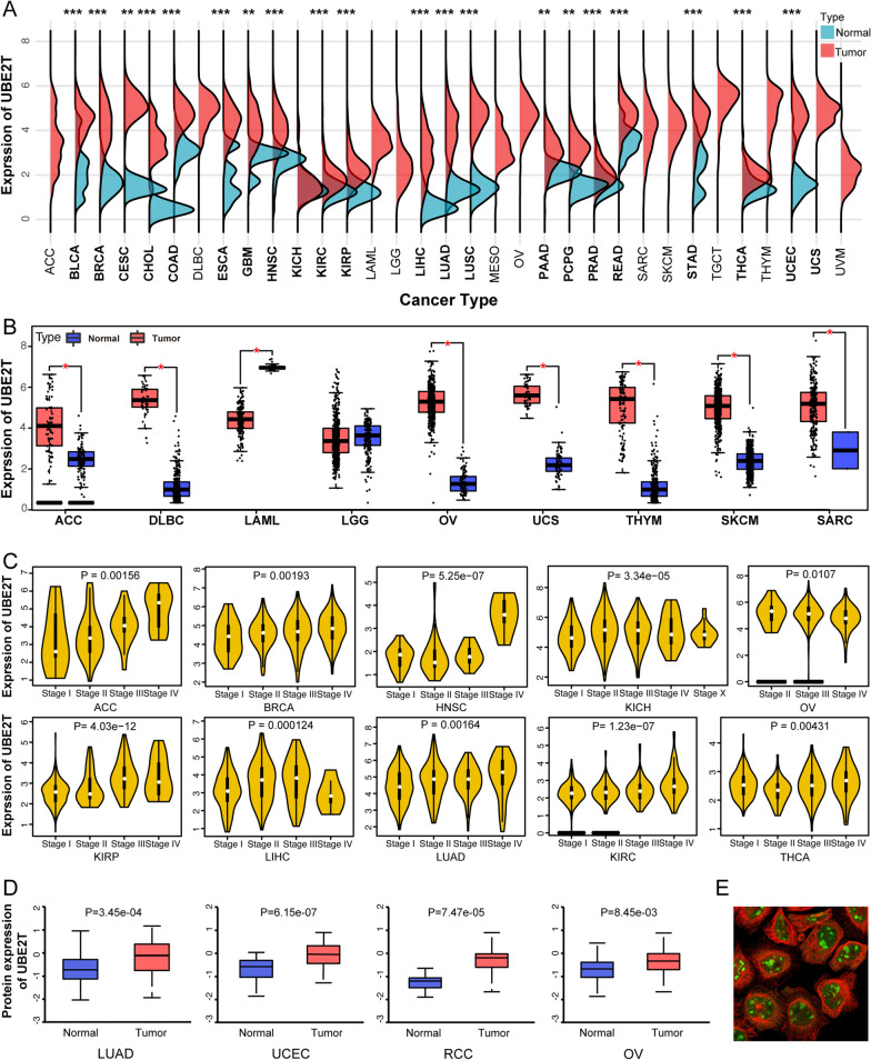PMC9650835 – Fig1