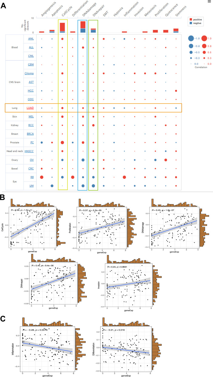 PMC10105544 – Fig10