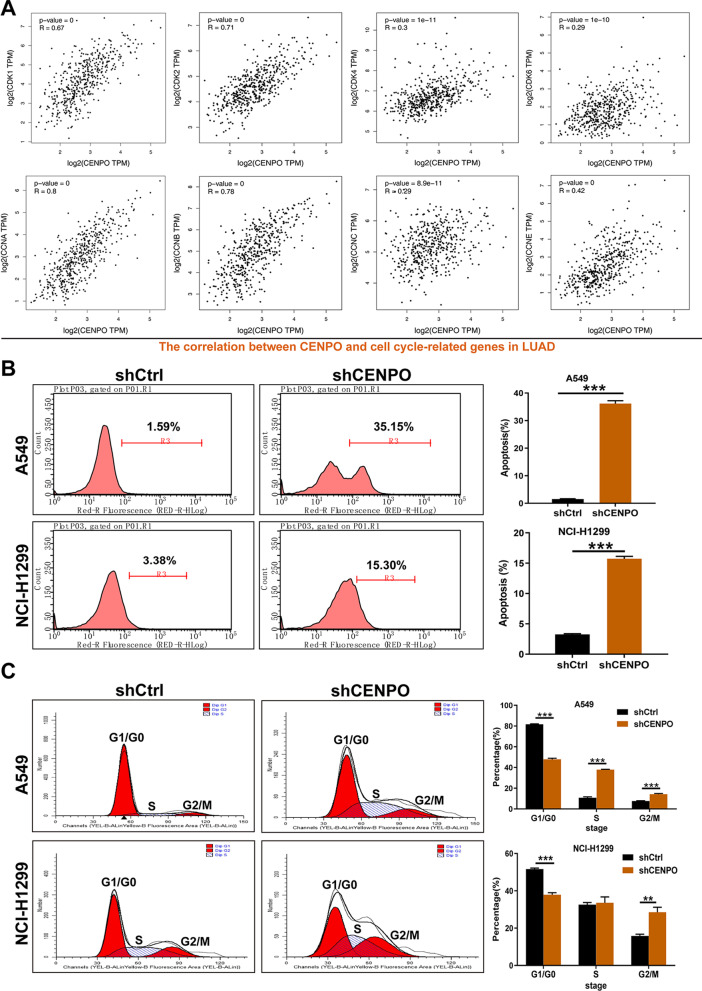 PMC10105544 – Fig11