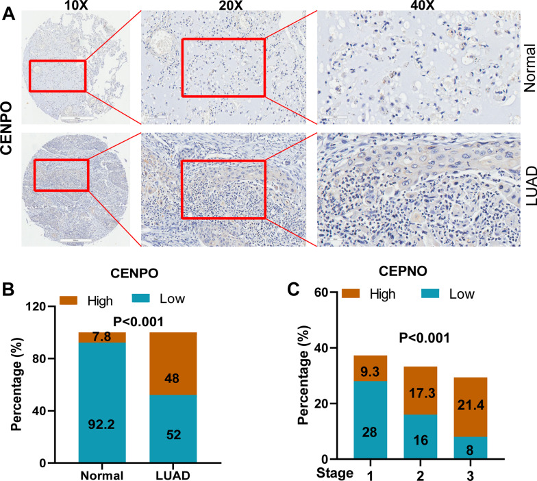 PMC10105544 – Fig12