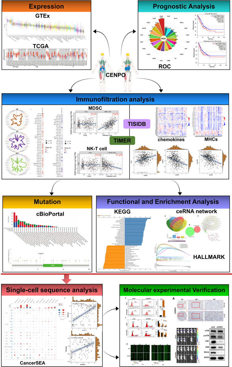 PMC10105544 – Fig1
