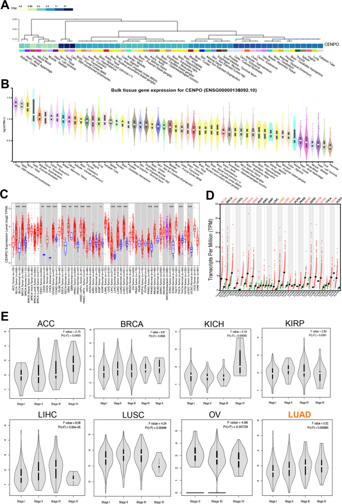 PMC10105544 – Fig2