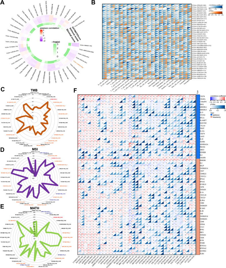 PMC10105544 – Fig4