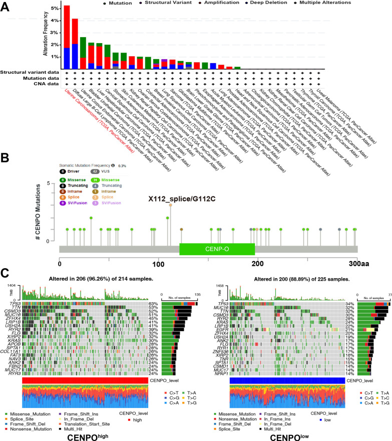 PMC10105544 – Fig7