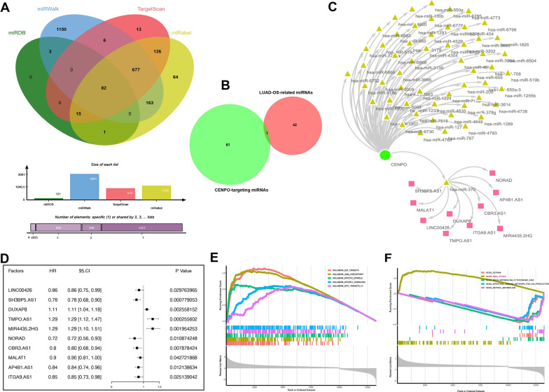 PMC10105544 – Fig9