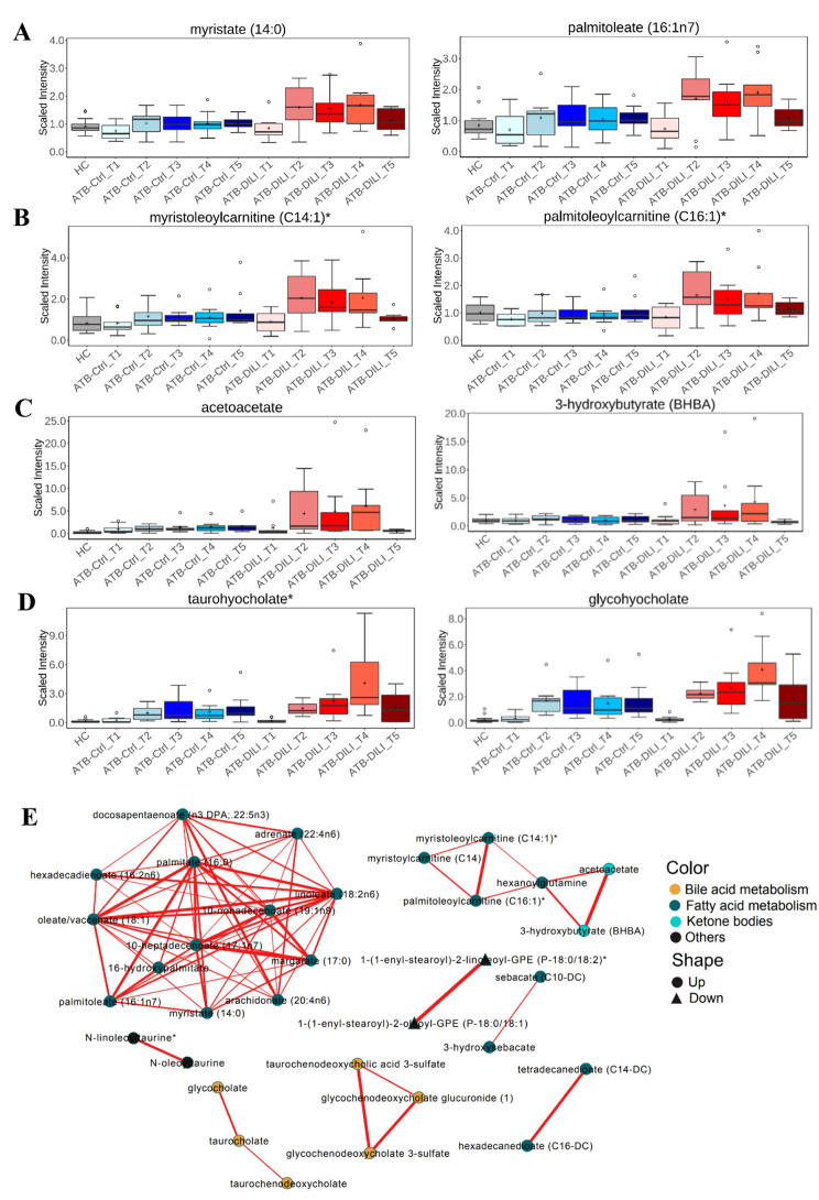PMC11193241 – Fig2