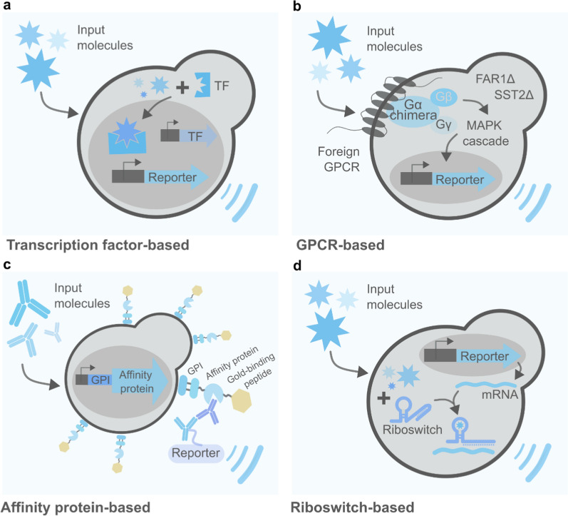 PMC11720383 – Fig2