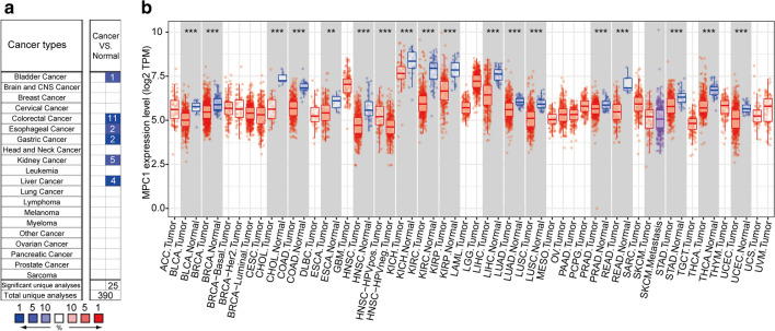 PMC8166087 – Fig4