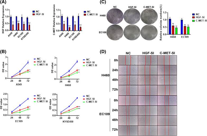 PMC8278741 – Fig10