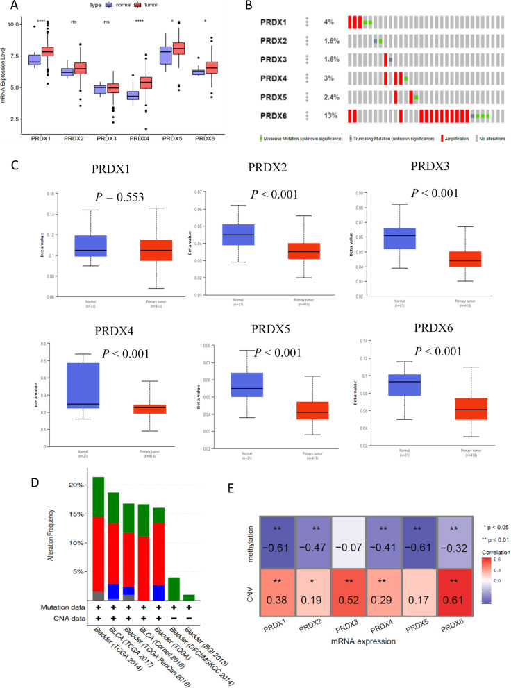 PMC8272277 – Fig4