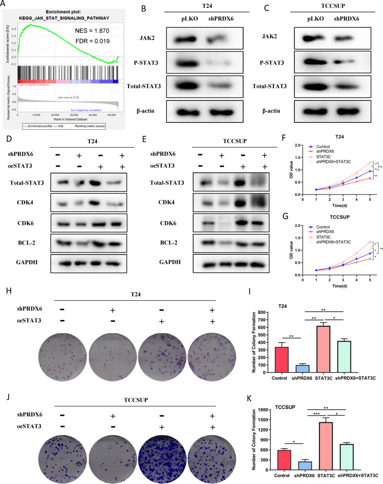 PMC8272277 – Fig8