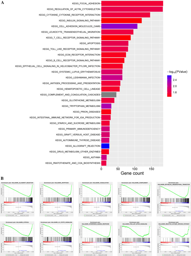 PMC8287669 – Fig8