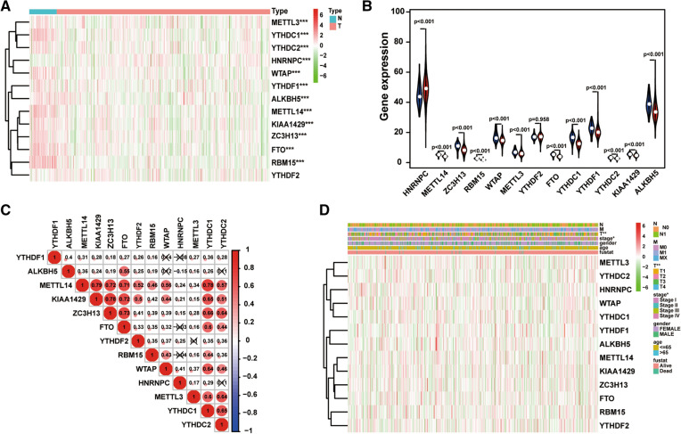 PMC8287668 – Fig1