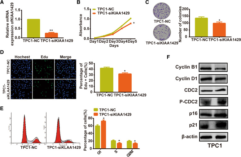 PMC8287668 – Fig9