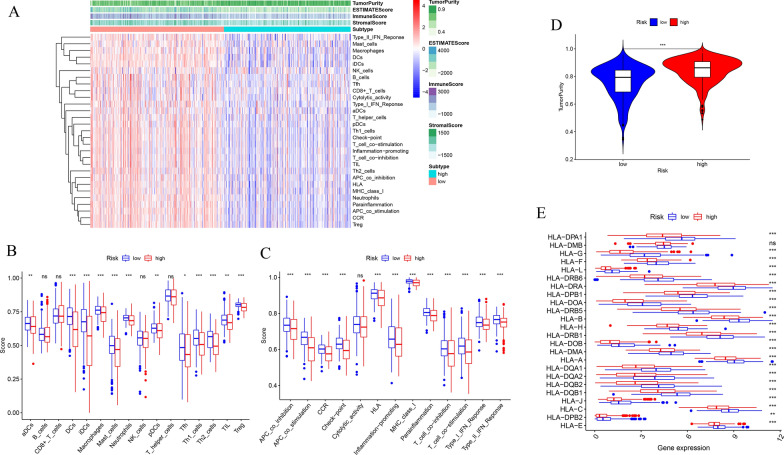 PMC8502398 – Fig11