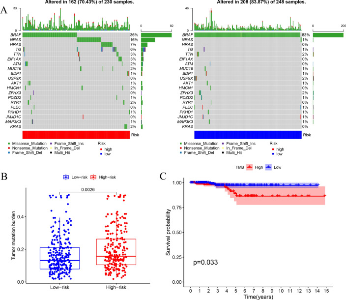 PMC8502398 – Fig12