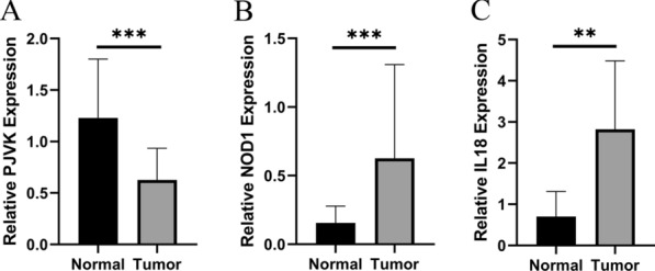 PMC8502398 – Fig13