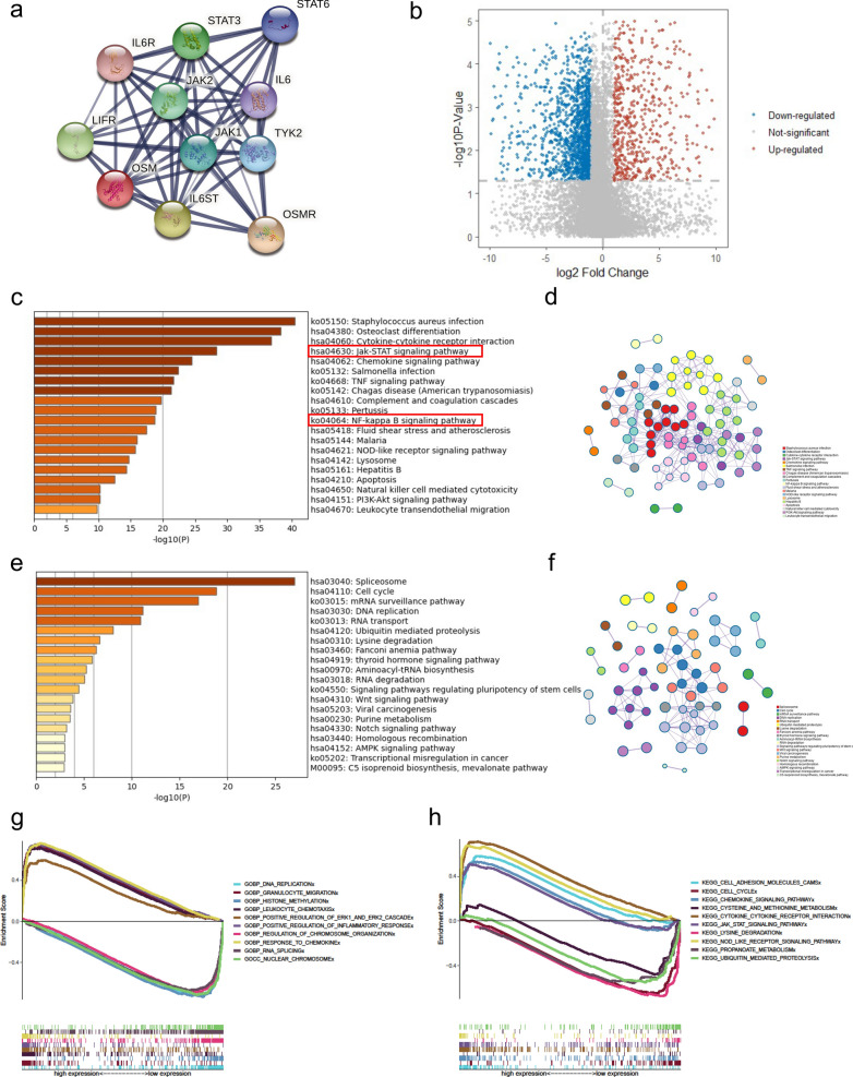 PMC8549168 – Fig5