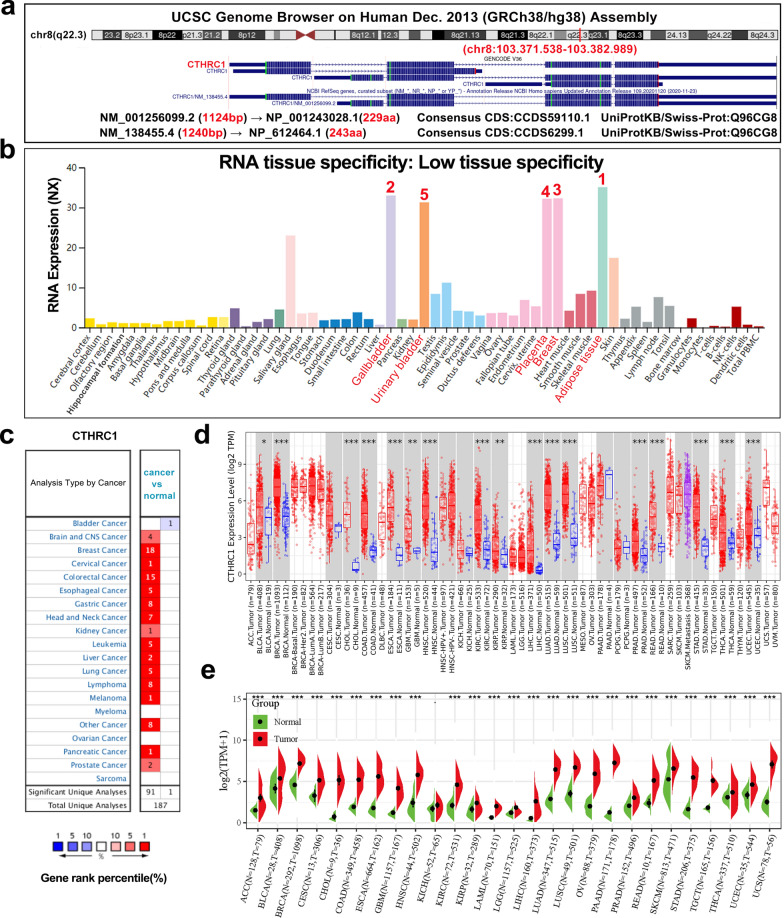 PMC8549344 – Fig1