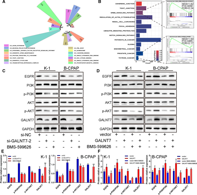 PMC8611849 – Fig7
