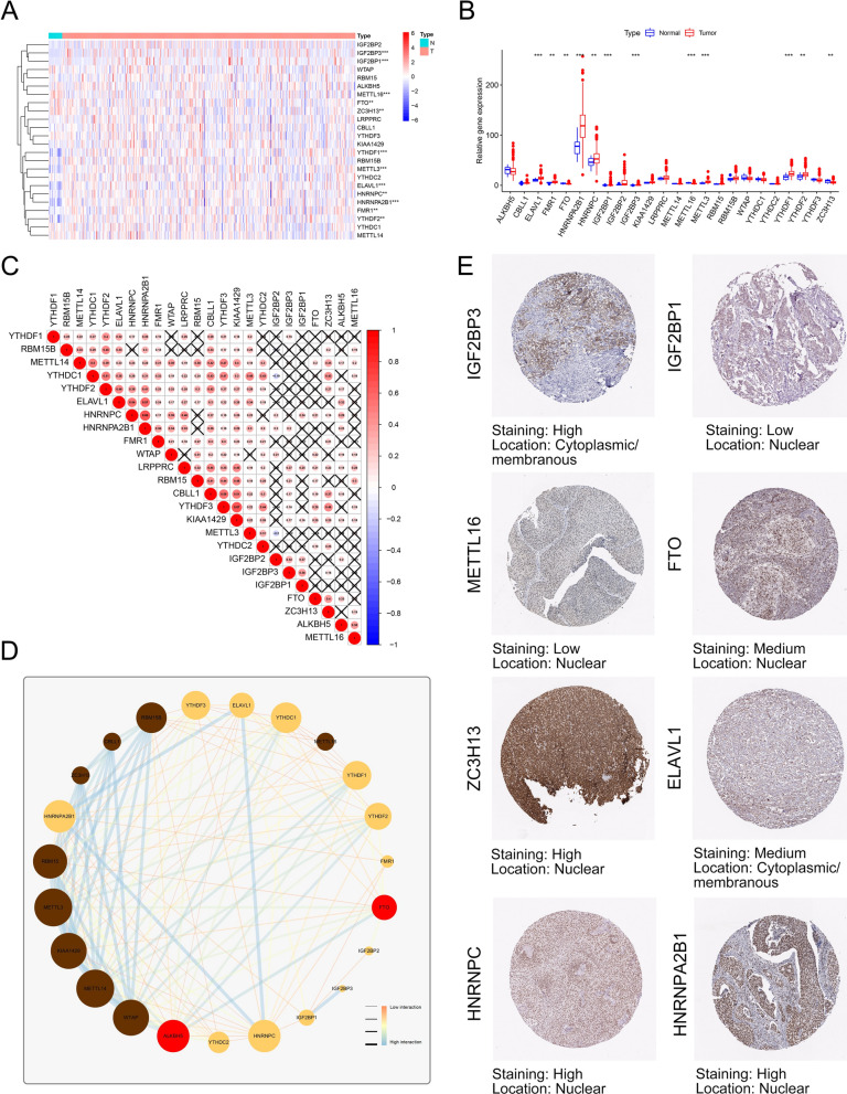 PMC8840771 – Fig2