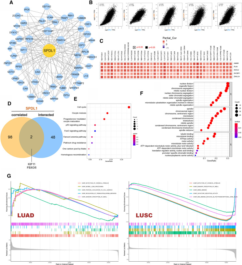 PMC8801078 – Fig6