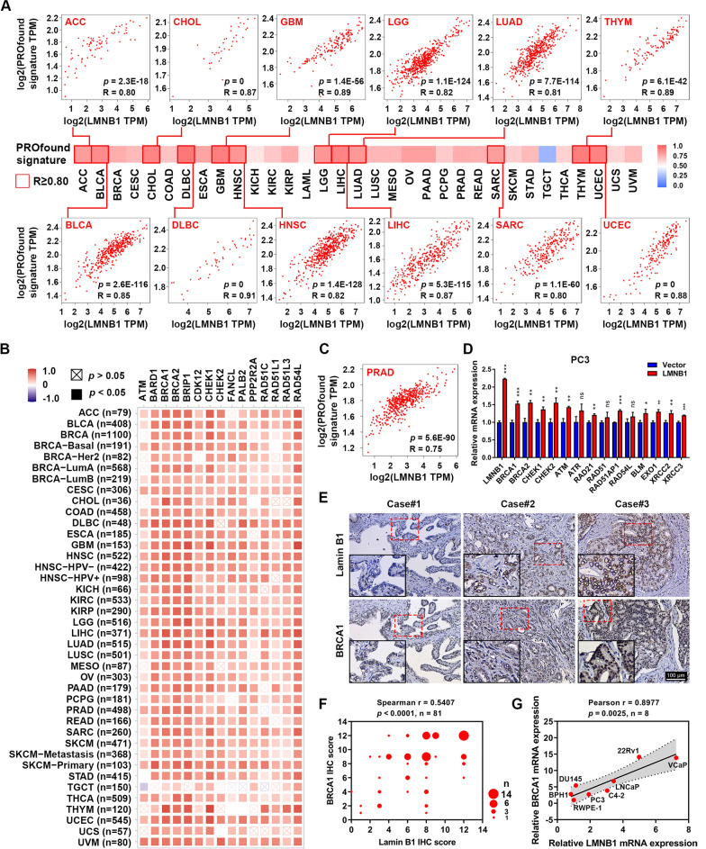 PMC8896121 – Fig6