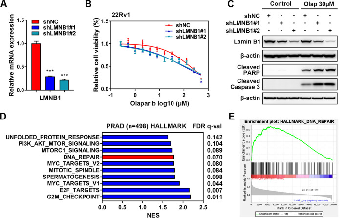 PMC8896121 – Fig7