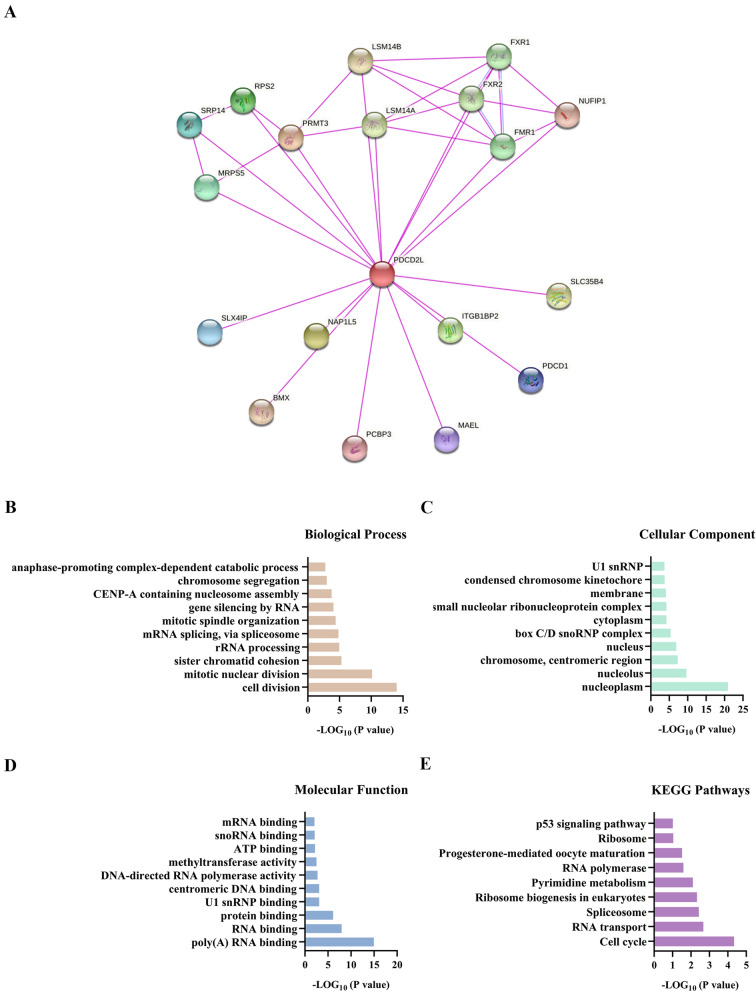 PMC8881831 – Fig3