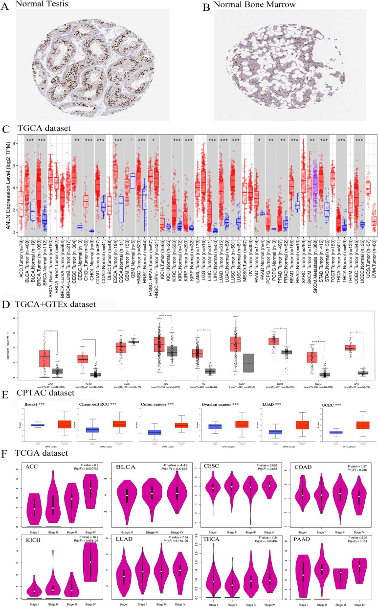 PMC9107662 – Fig1