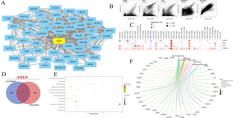 PMC9107662 – Fig8