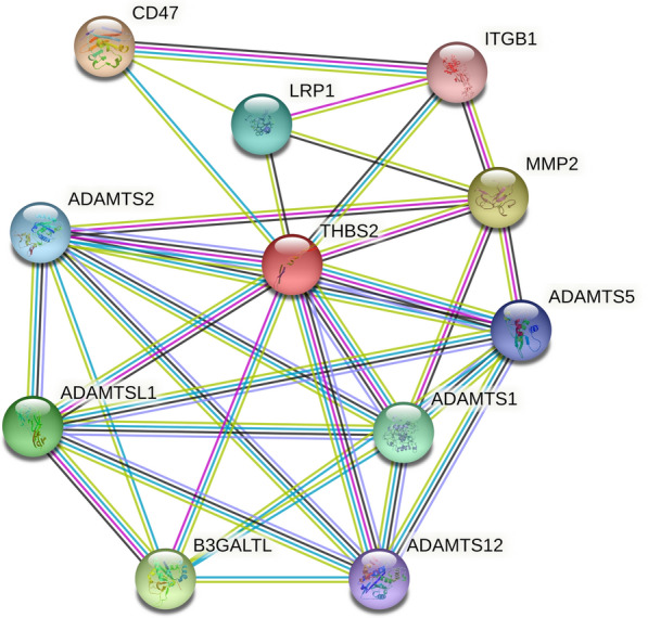 PMC9195477 – Fig11
