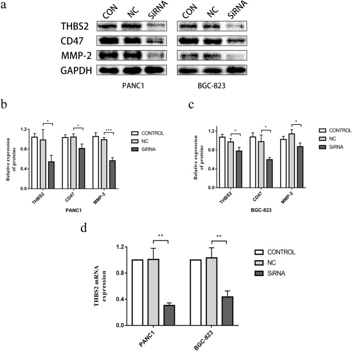 PMC9195477 – Fig12