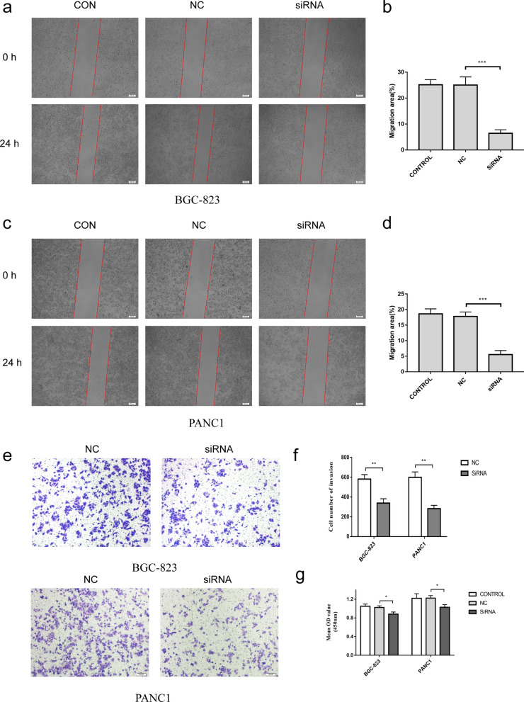 PMC9195477 – Fig13