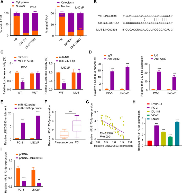 PMC9275192 – Fig3