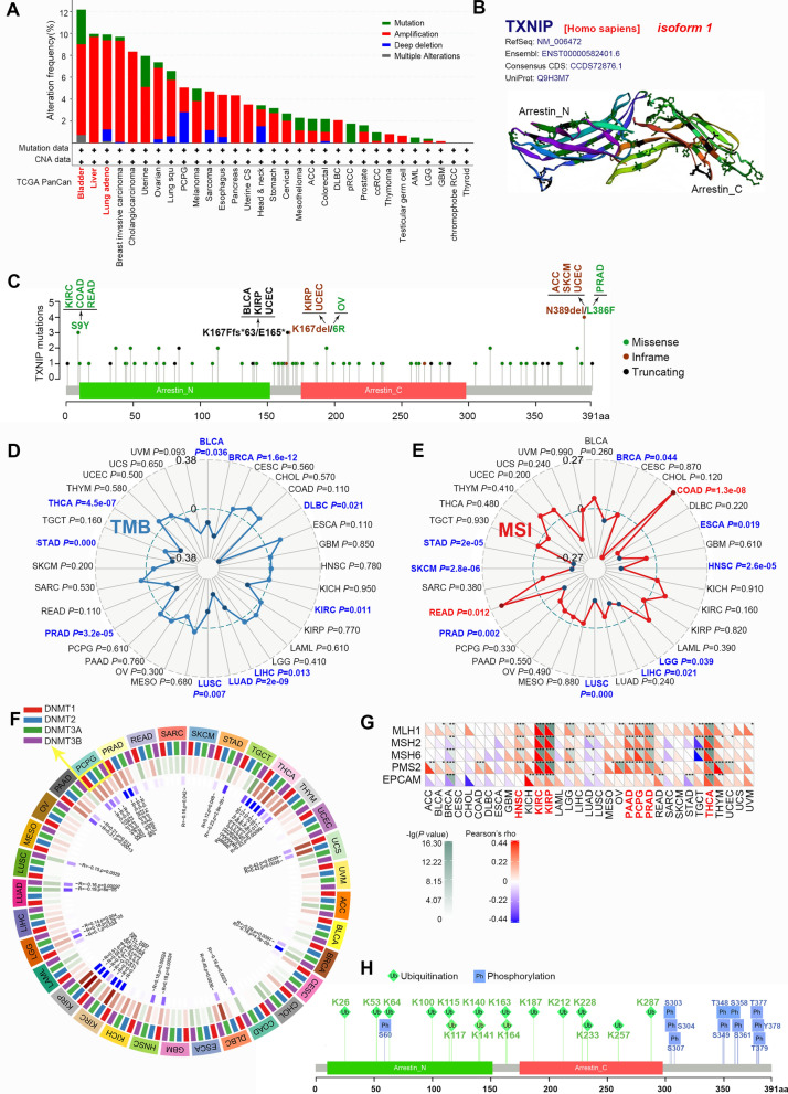 PMC9288722 – Fig3