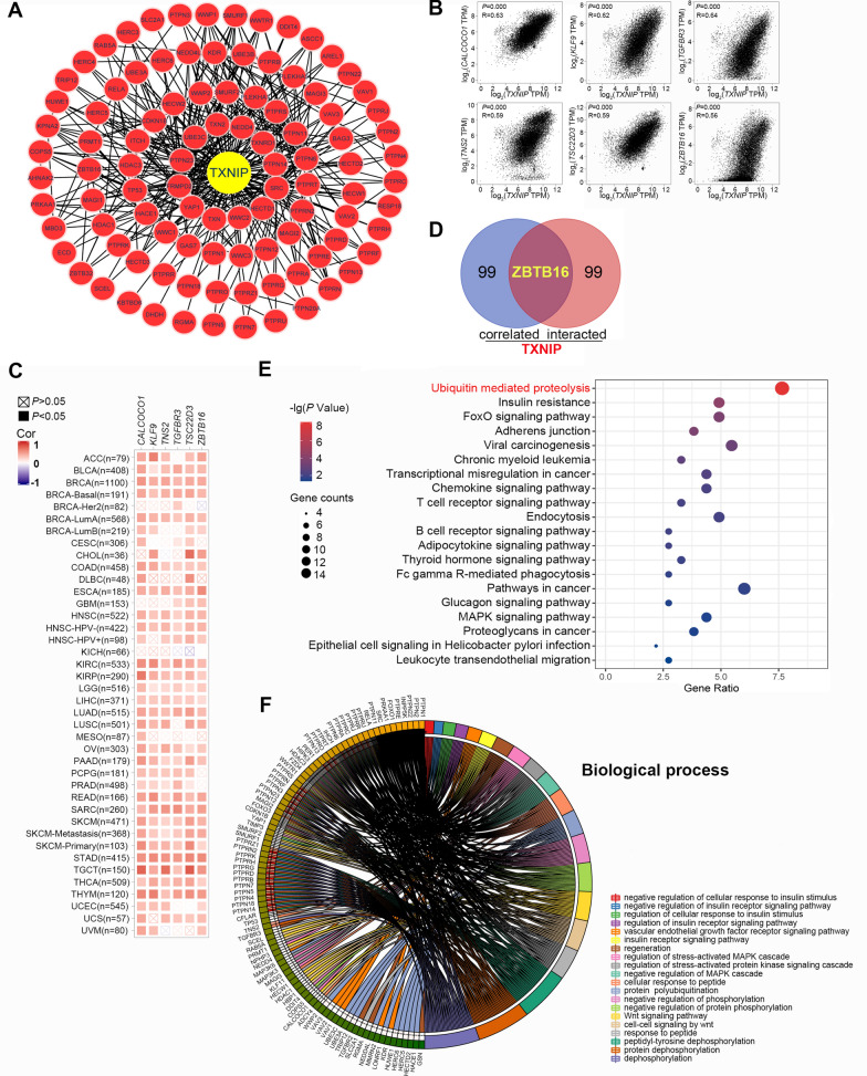 PMC9288722 – Fig6