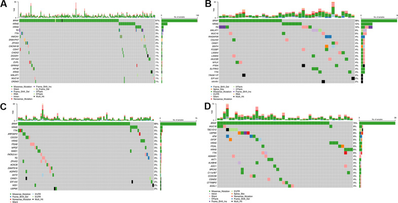 PMC9394008 – Fig3