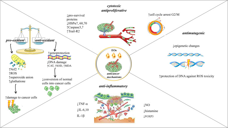PMC9749237 – Fig1