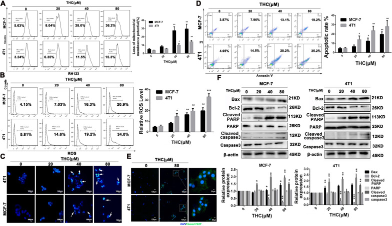 PMC9881278 – Fig2