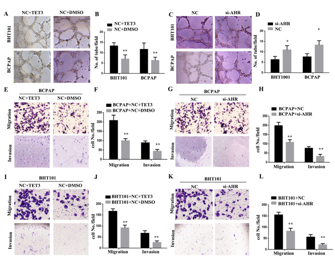 PMC10506260 – Fig4