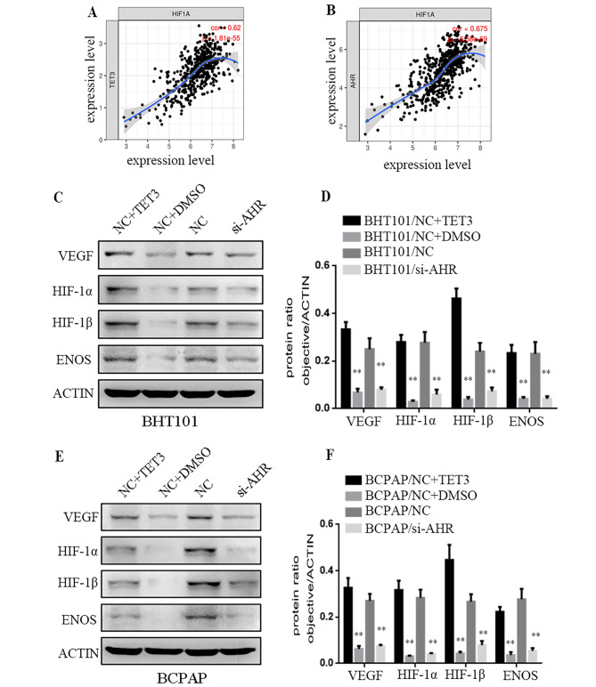 PMC10506260 – Fig5
