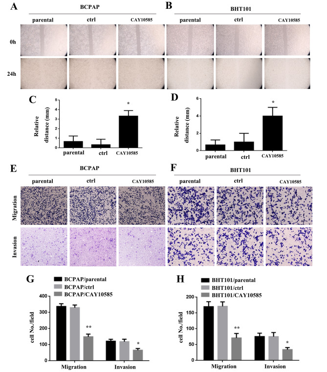 PMC10506260 – Fig6